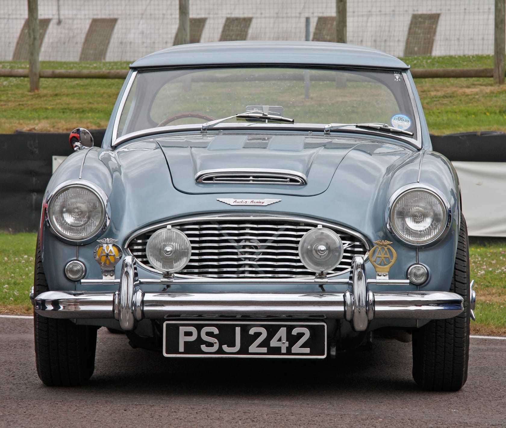 The front of a powder-blue Austin-Healey 3000 sports car showing a black-and-silver number plate reading PSJ 242
