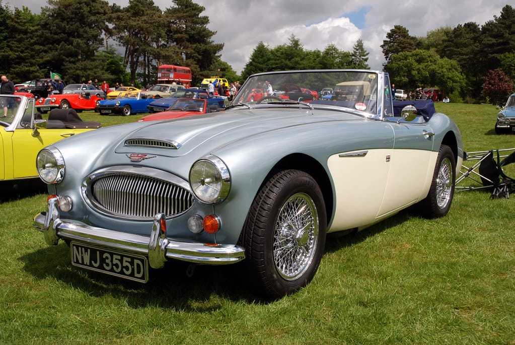 A two-tone light blue and cream Austin-Healey 3000 with chrome wire wheels and period tyres, side three-quarter view on grass at a show