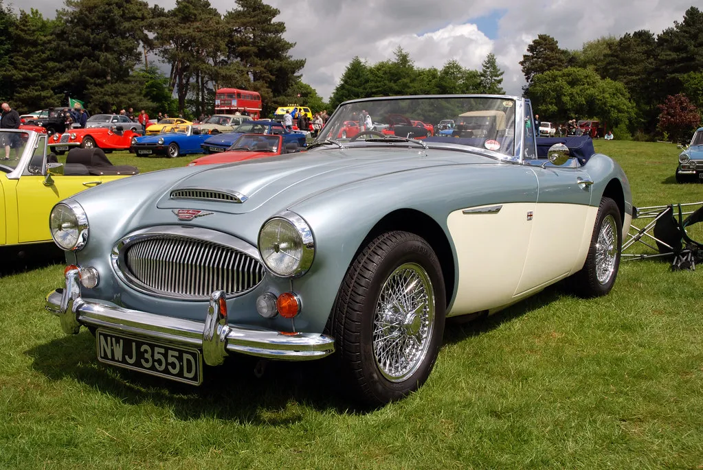 A two-tone light blue and cream Austin-Healey 3000 with chrome wire wheels and period tyres, side three-quarter view on grass at a show