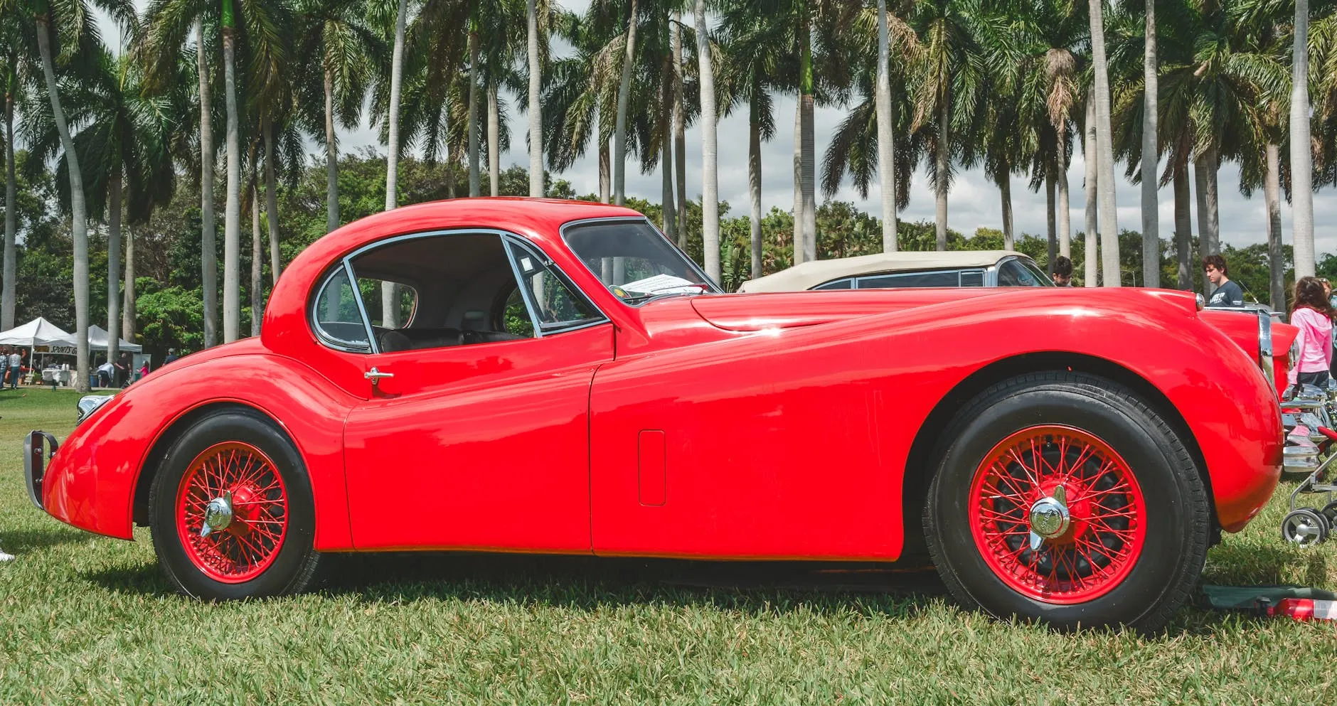 A red Jaguar XK120 fixed-head coupe in side profile with red wire wheels, parked on grass with palm trees behind