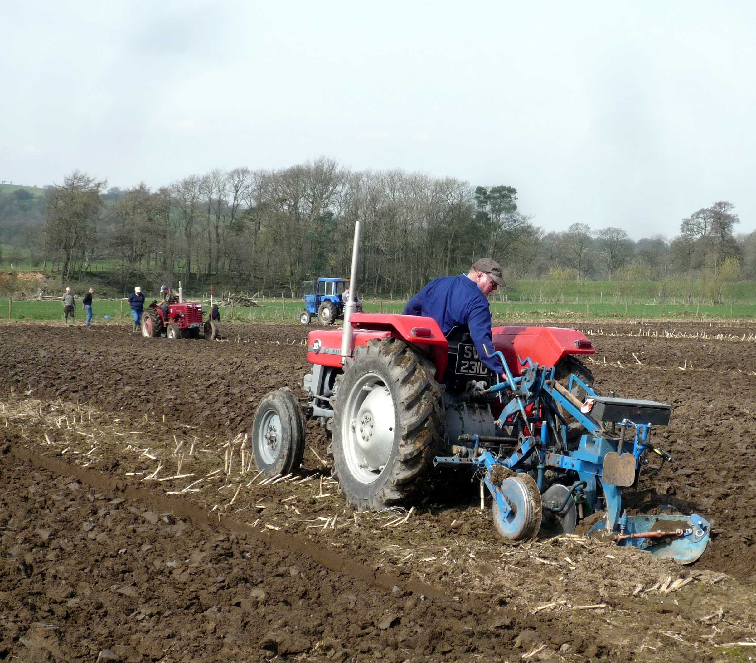 A red Massey Ferguson 135 ploughing a field at a ploughing match, seen from behind with a mounted plough, other classic tractors working in the distance