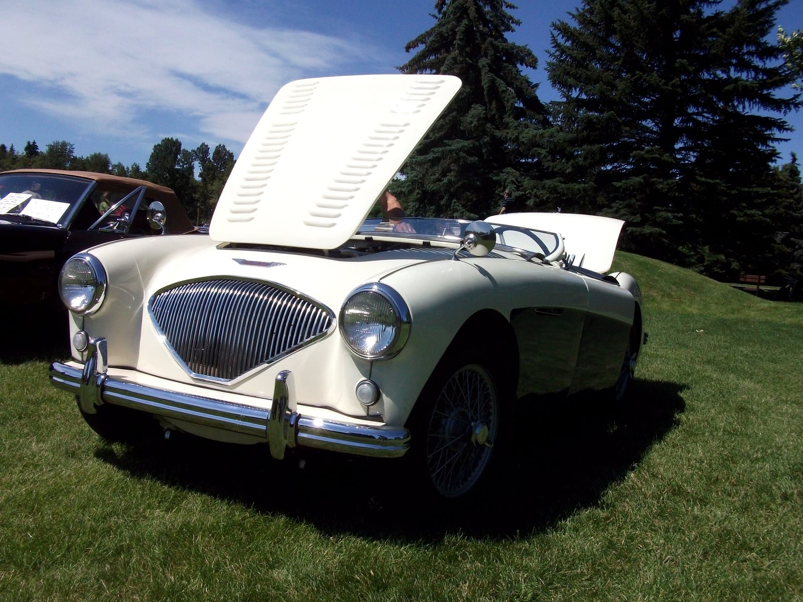 A cream Austin-Healey 100 with its bonnet raised, showing the construction