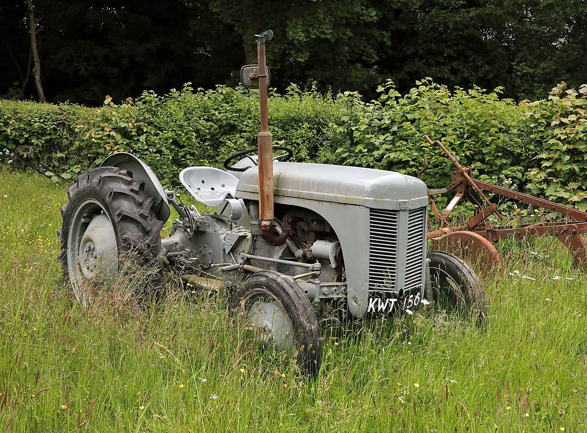 A grey Ferguson TE20 with a mounted plough standing in long grass beside a hedge