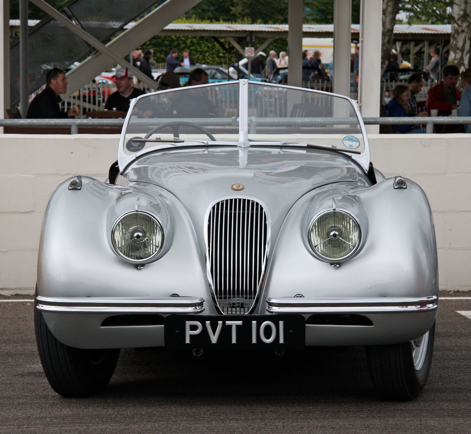 A silver Jaguar XK120 open roadster seen head-on, UK registration PVT 101