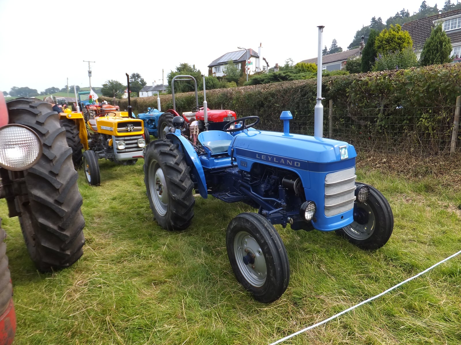 A blue Leyland-badged tractor at a vintage show, lined up beside an orange Nuffield and other classic tractors